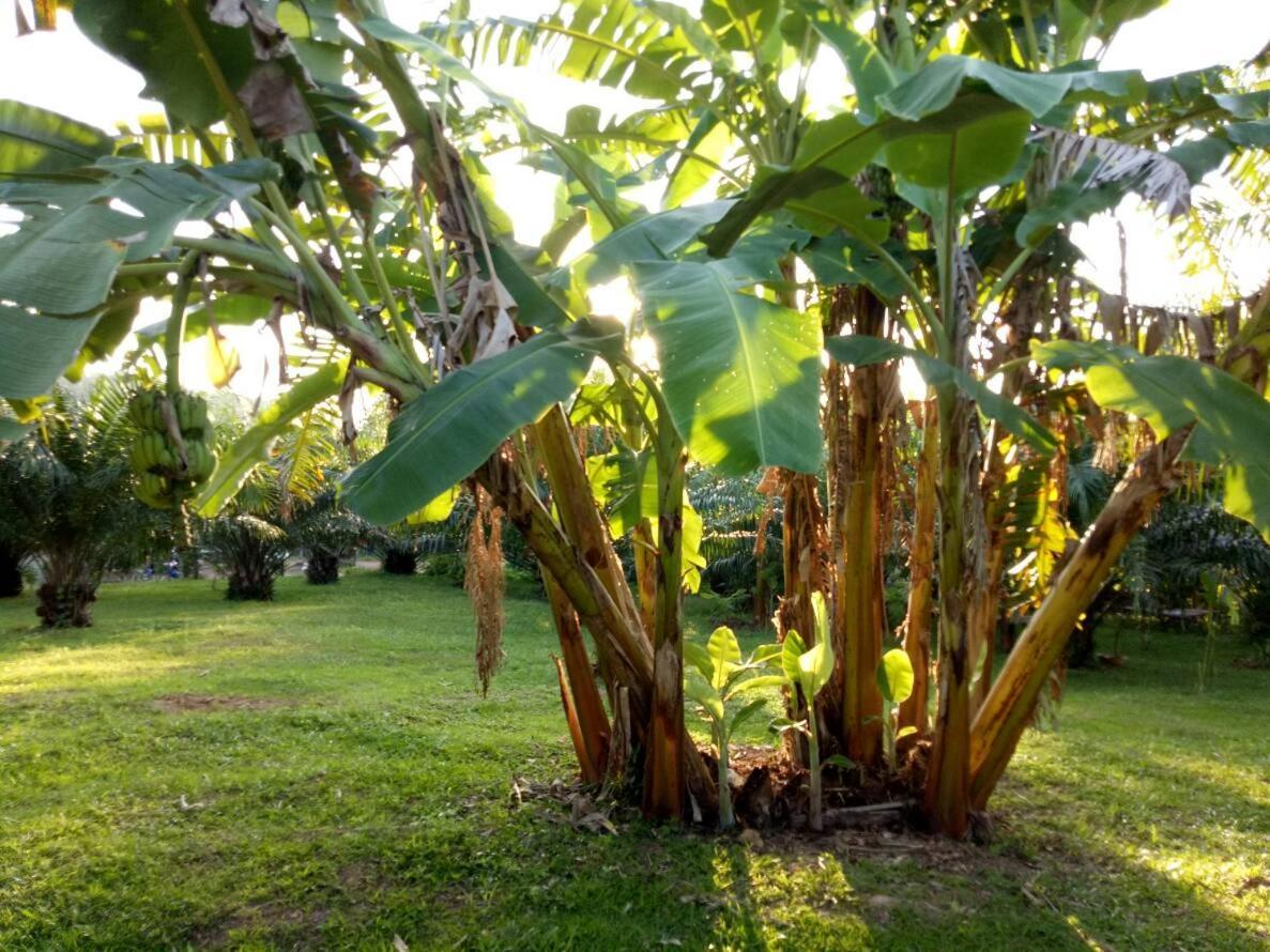 Baan Reenaa Lanta Ko Lanta Екстериор снимка